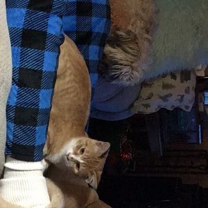 Meet your Posher, Karla